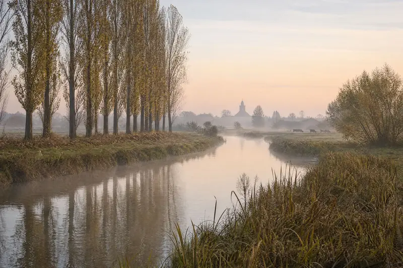 The river at sunrise, with mist on the water, a row of poplars and the village bell tower in the distance.