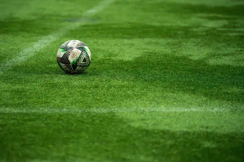 Un ballon de football sur la pelouse.
